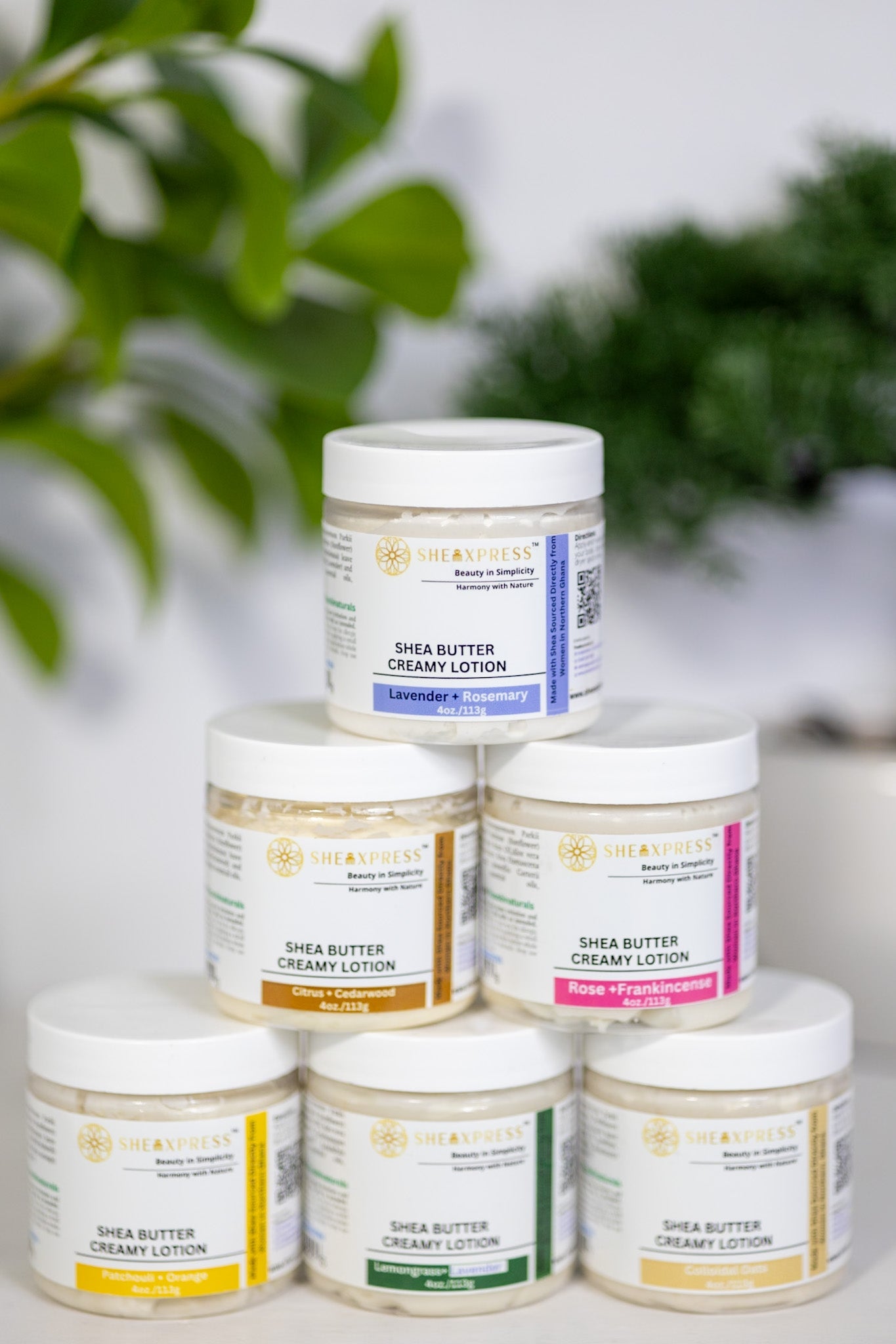 Aroma Whip Essentials