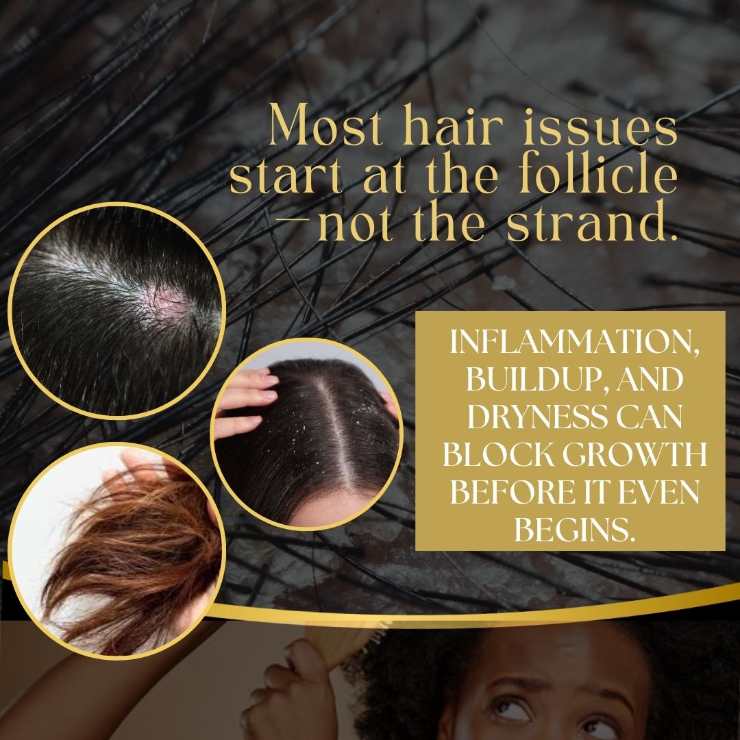 Healthy Hair Starts with the Scalp – Why Follicle Care Matters More Than You Think