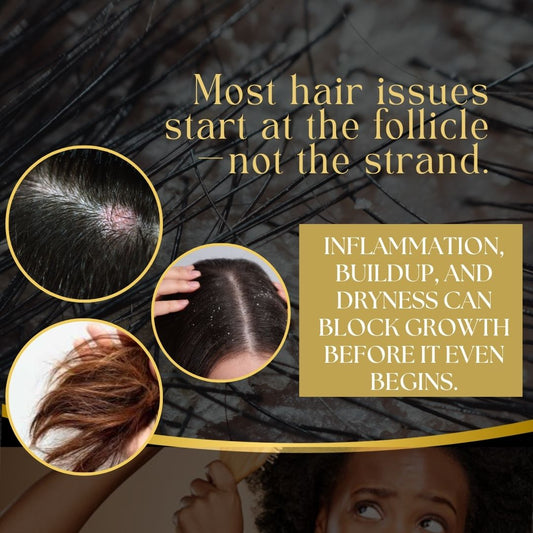 Healthy Hair Starts with the Scalp – Why Follicle Care Matters More Than You Think