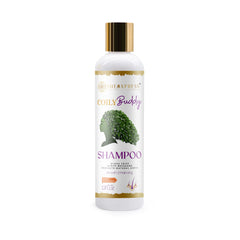 CoilyBuddy Shampoo